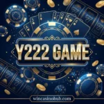 Y222 Game